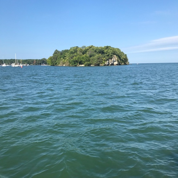 Meet your Posher, Tami - Picture 1 of 1